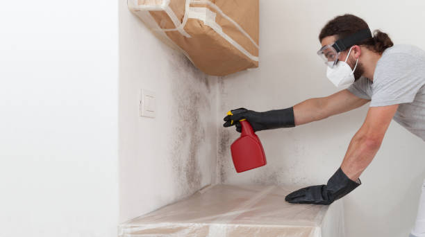 Professional Attic Mold Removal technician working in Rebuck, PA