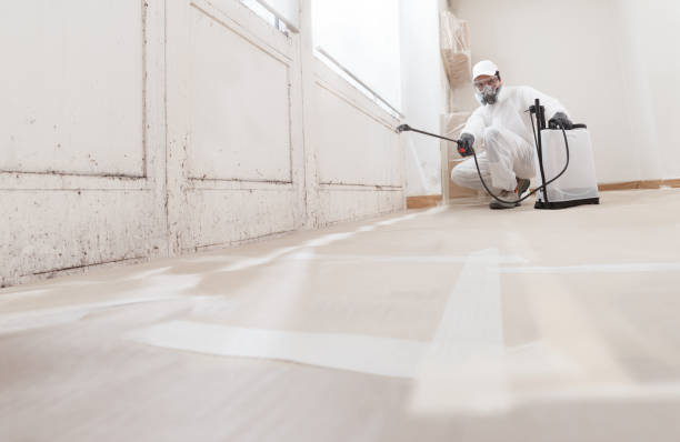 24/7 Emergency Attic Mold Removal experts in Rebuck, PA